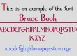 Bruce Book for CC3