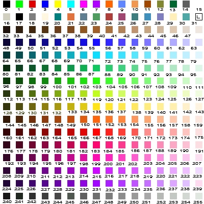 Color Palette