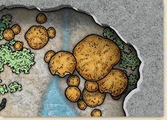 Fungal Caves